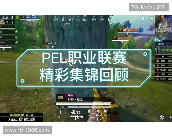 最新和平精英节奏TOP10：RNG领跑