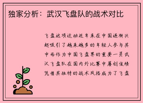 独家分析：武汉飞盘队的战术对比