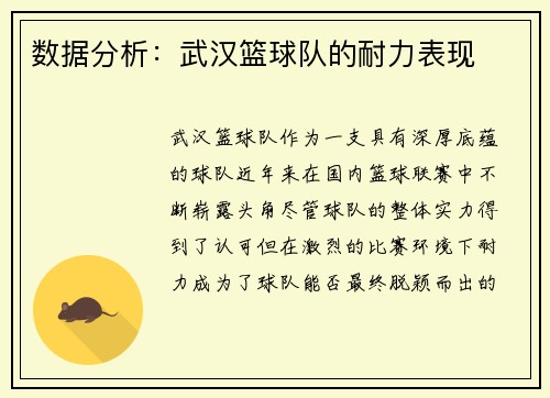 数据分析：武汉篮球队的耐力表现